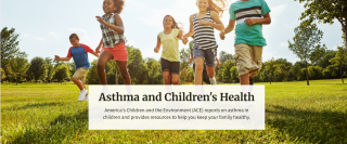 Cover of the ACE report