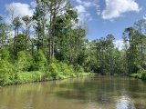 Vegetation around a channel.