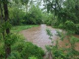 Walnut Creek at State Street