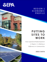 A thumbnail of the first page of the report.