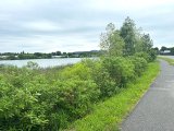 A view of a walking path at the Silver Lake Area