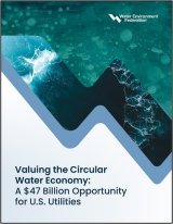 Valuing the Circular Water Economy