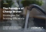 The Paradox of Cheap Water
