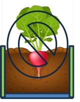 A radish grown in soil with a slashed circle covering the plant to indicate not recommended.