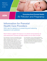 Promoting Good Prenatal Health Cover